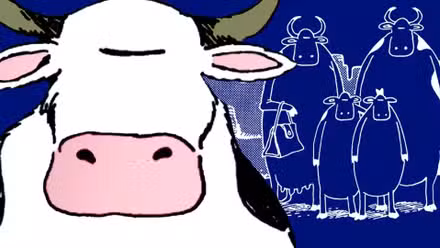 Vaca de Far Side (primer plano) y familia de vacas (fondo)