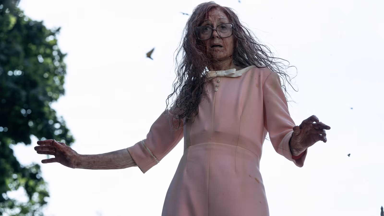 Dorry's Terror Temporada 3 Destino y trasfondo trágico desglosados ​​por estrella