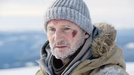 Liam Neeson mira en The Grey