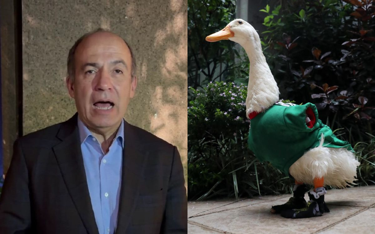 Felipe Calderón pide regalías de FIFA para familia del pato Merlín
