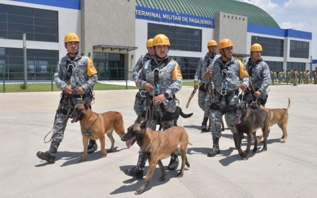 México envía 261 militares y 18 perros entrenados para ayudar en labores de rescate en Venezuela