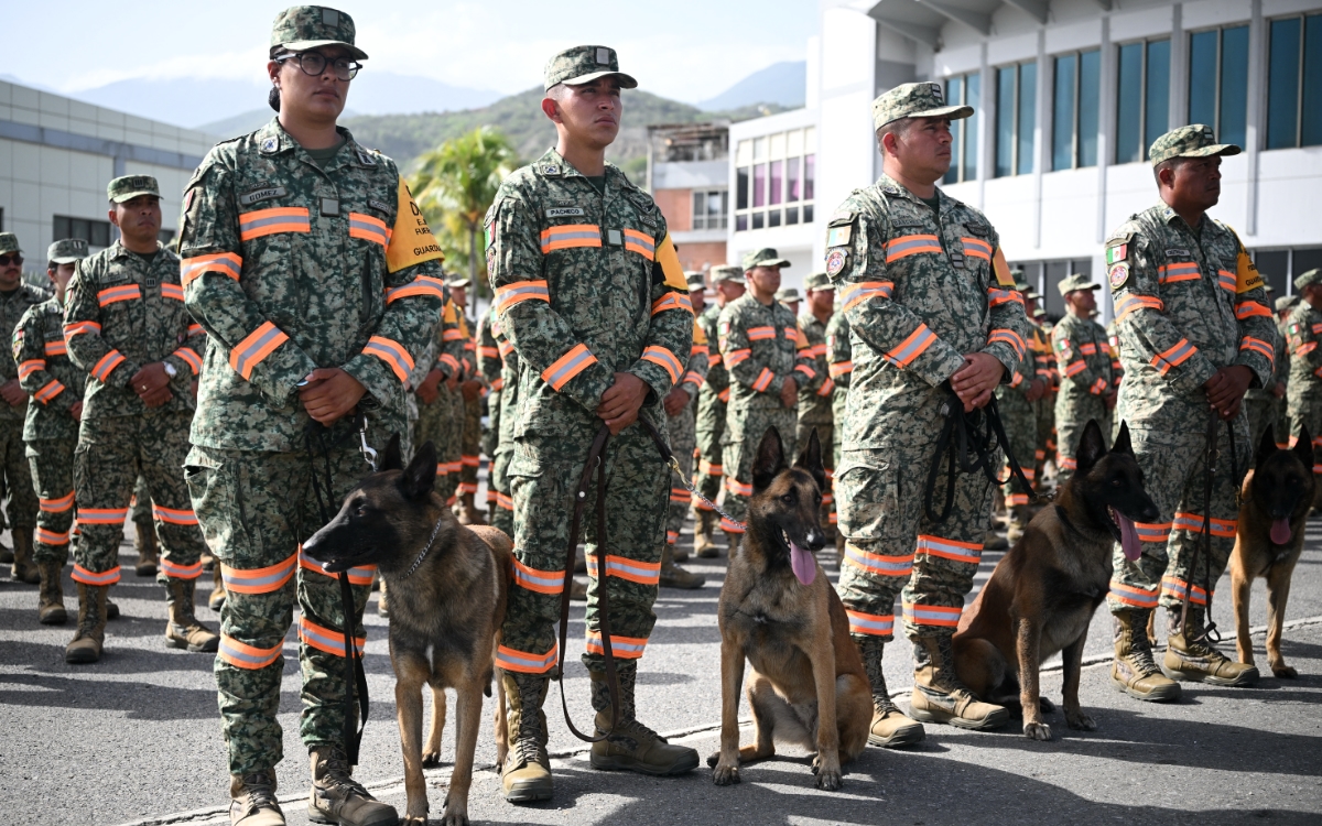 Perros, bomberos, drones, forenses: así ayuda el mundo a Venezuela