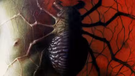 maravilla medianoche hombre araña