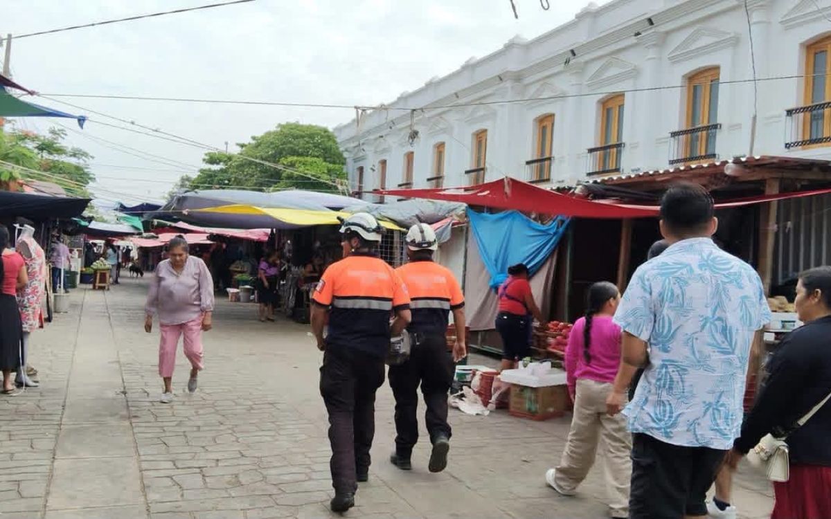 Activa Oaxaca protocolo por sismo de 7.4 grados en Chiapas