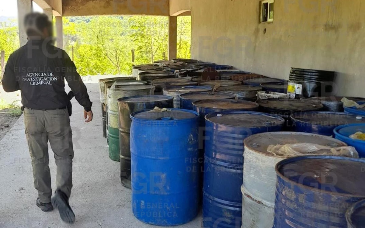 Decomisa FGR precursores químicos con valor de 60 millones de dólares en Tamazula, municipio del 'Triángulo Dorado'