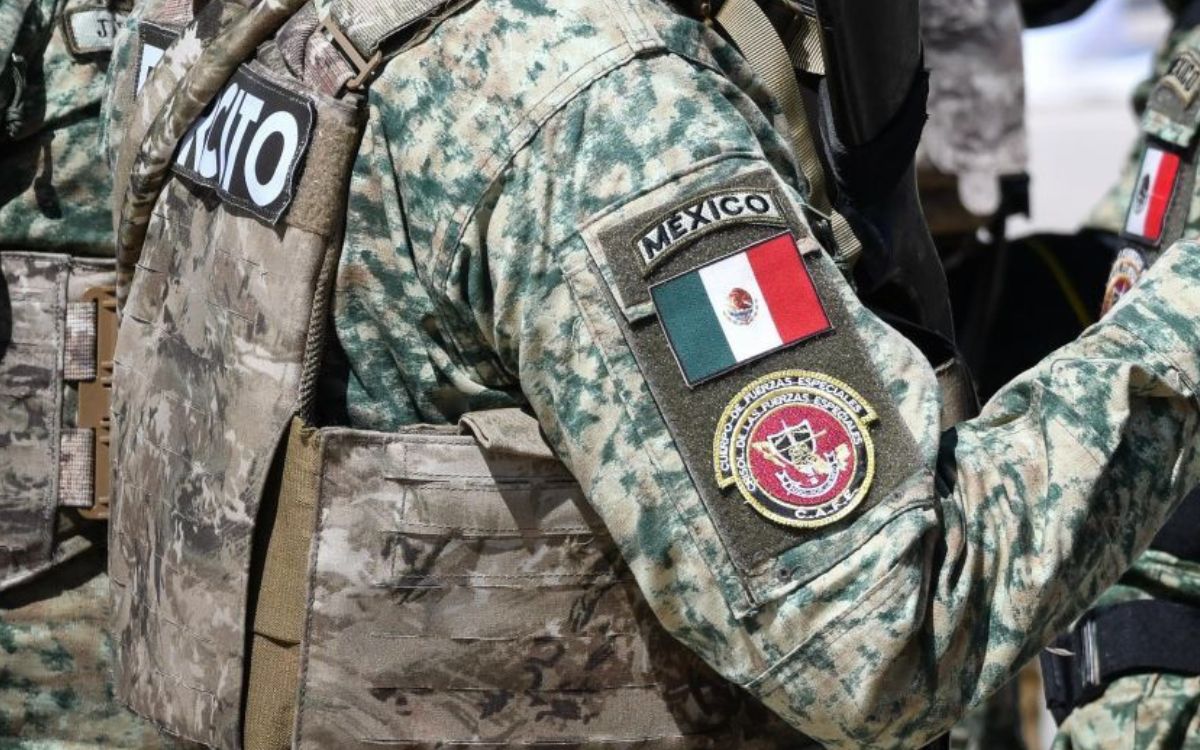 Michoacán | Ejército retira minas antipersonales en región disputada por el narco