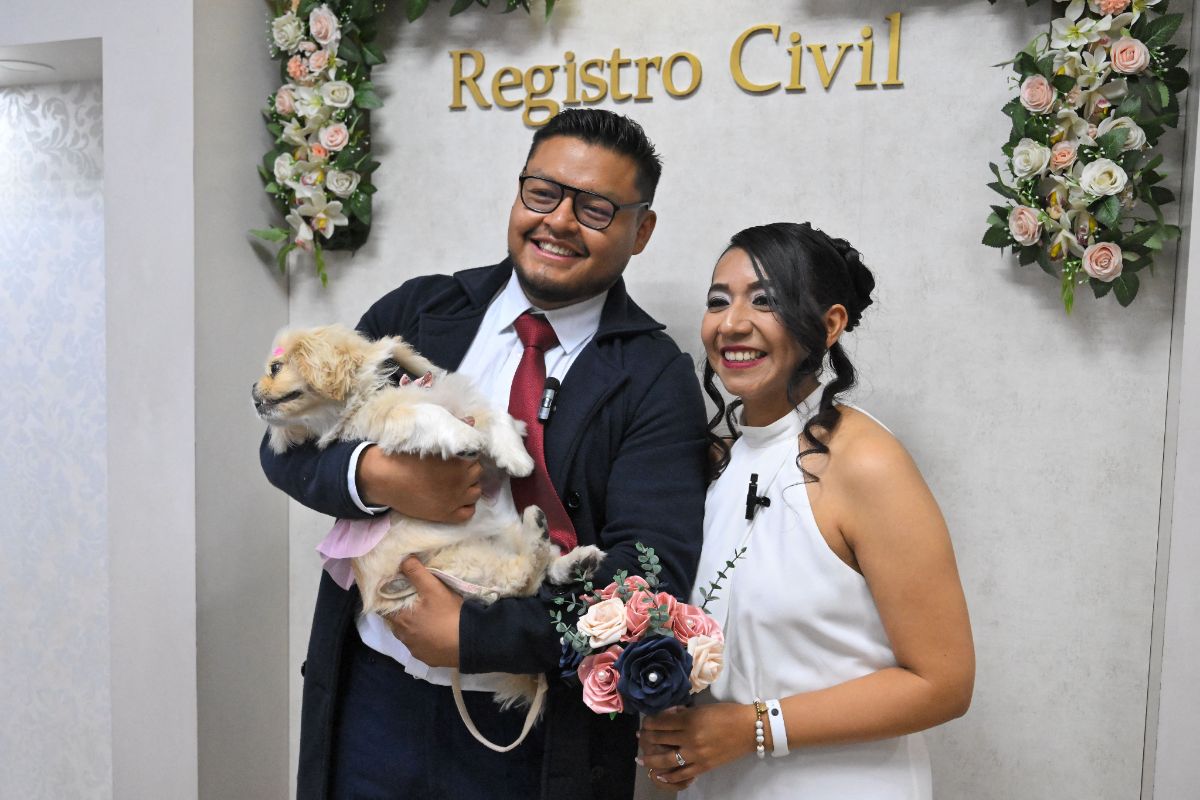 Perros y gatos, testigos simbólicos en bodas ‘pet frliendly’ de Ecuador