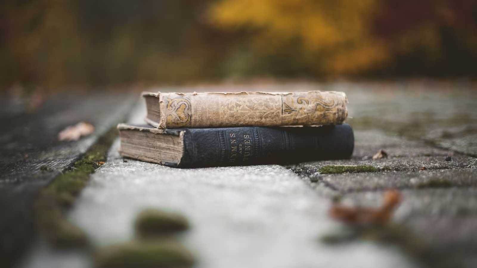 Las 10 mejores líneas iniciales de la historia literaria, clasificadas