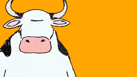 La vaca del otro lado 