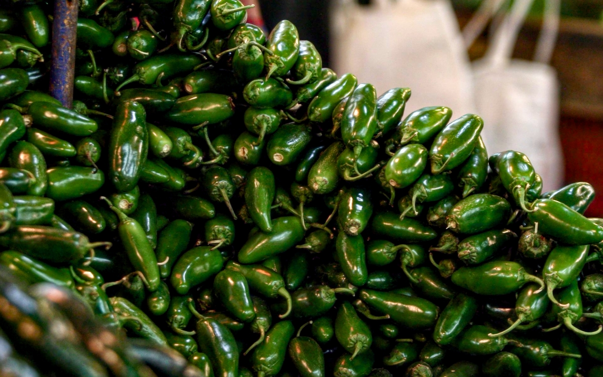 Cofepris descarta salmonela en chiles jalapeños empacados en Nuevo León