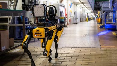 EE.UU. invertirá 2 millones de dólares en perros robots para ICE