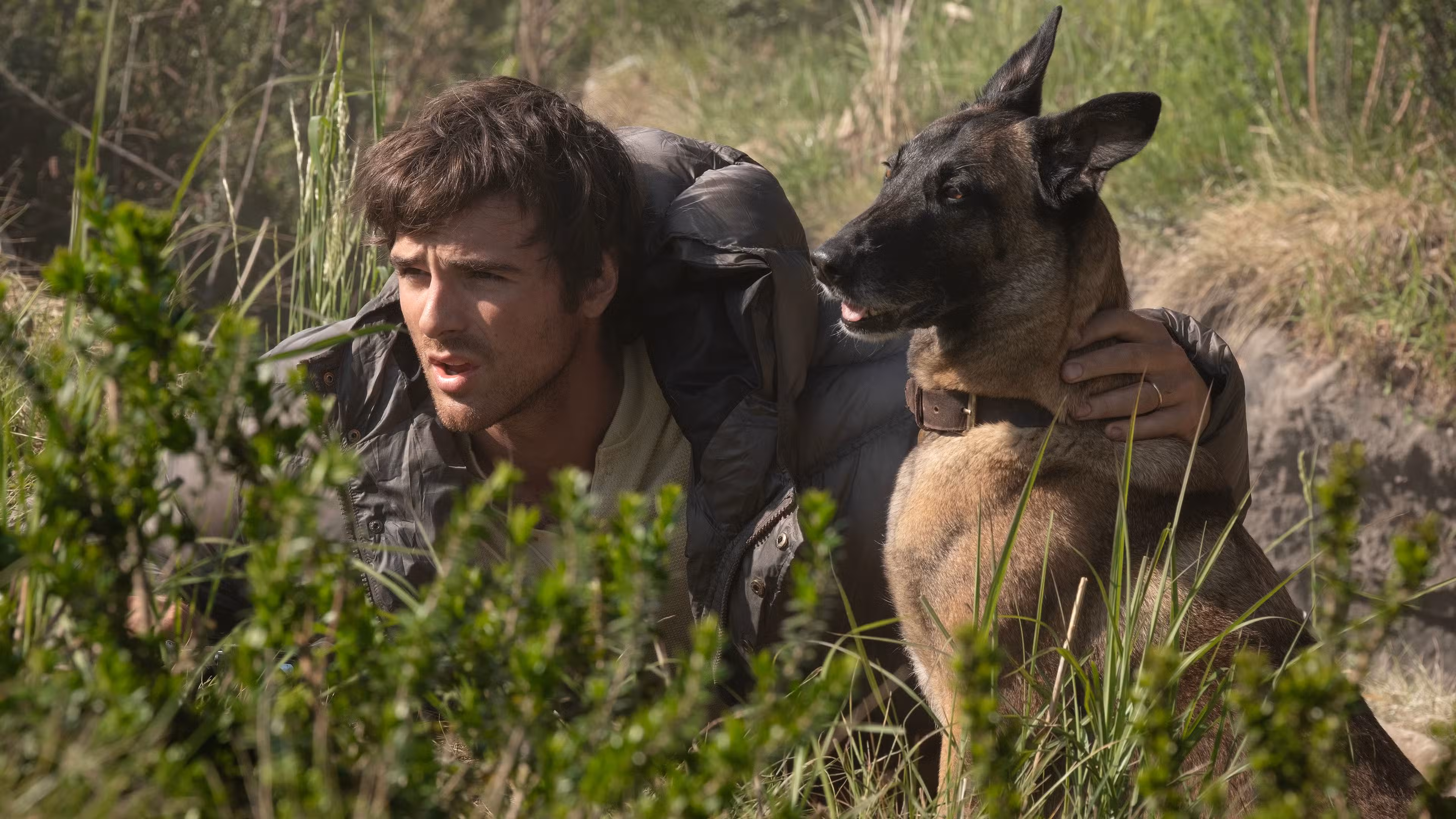 Hig de Jacob Elordi y su perro escondidos detrás de la maleza en The Dog Stars