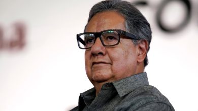 Higinio Martínez, elegido por Morena para presidir el Senado