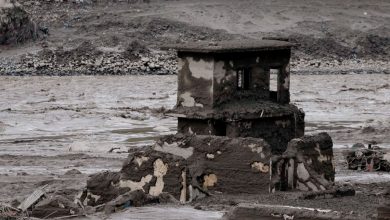 Nepal pide no comer peces arrastrados por la riada ante riesgos de contaminación