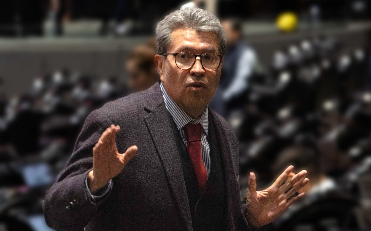‘Tenemos un problema de ingresos’: Monreal