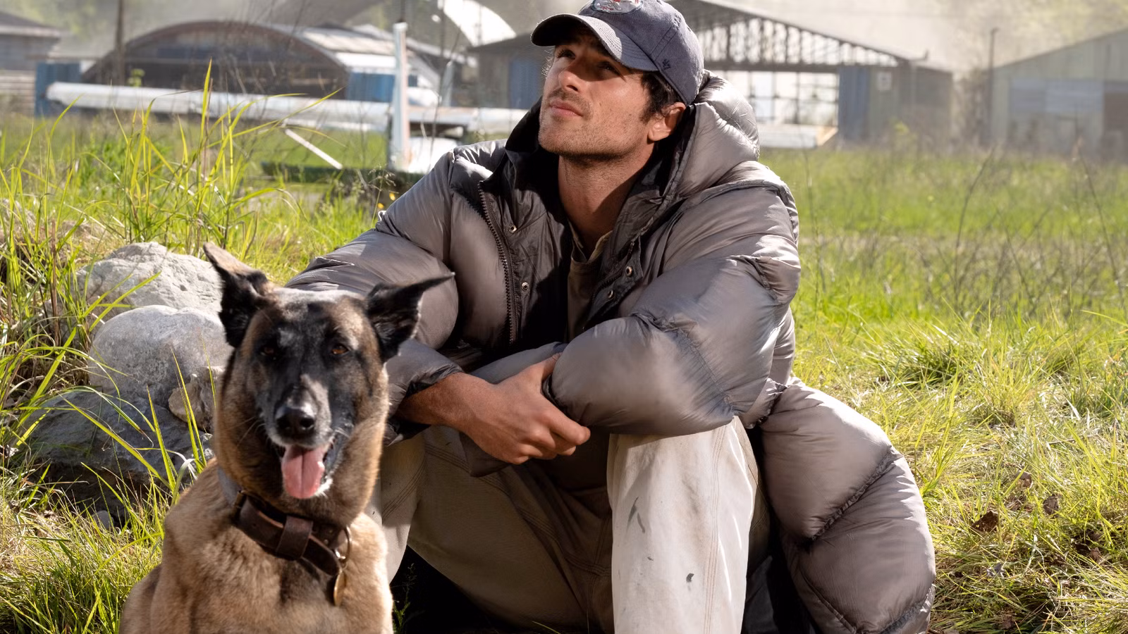 ¿Muere el perro en las estrellas caninas? Aquí está la respuesta y cómo la película cambia el libro