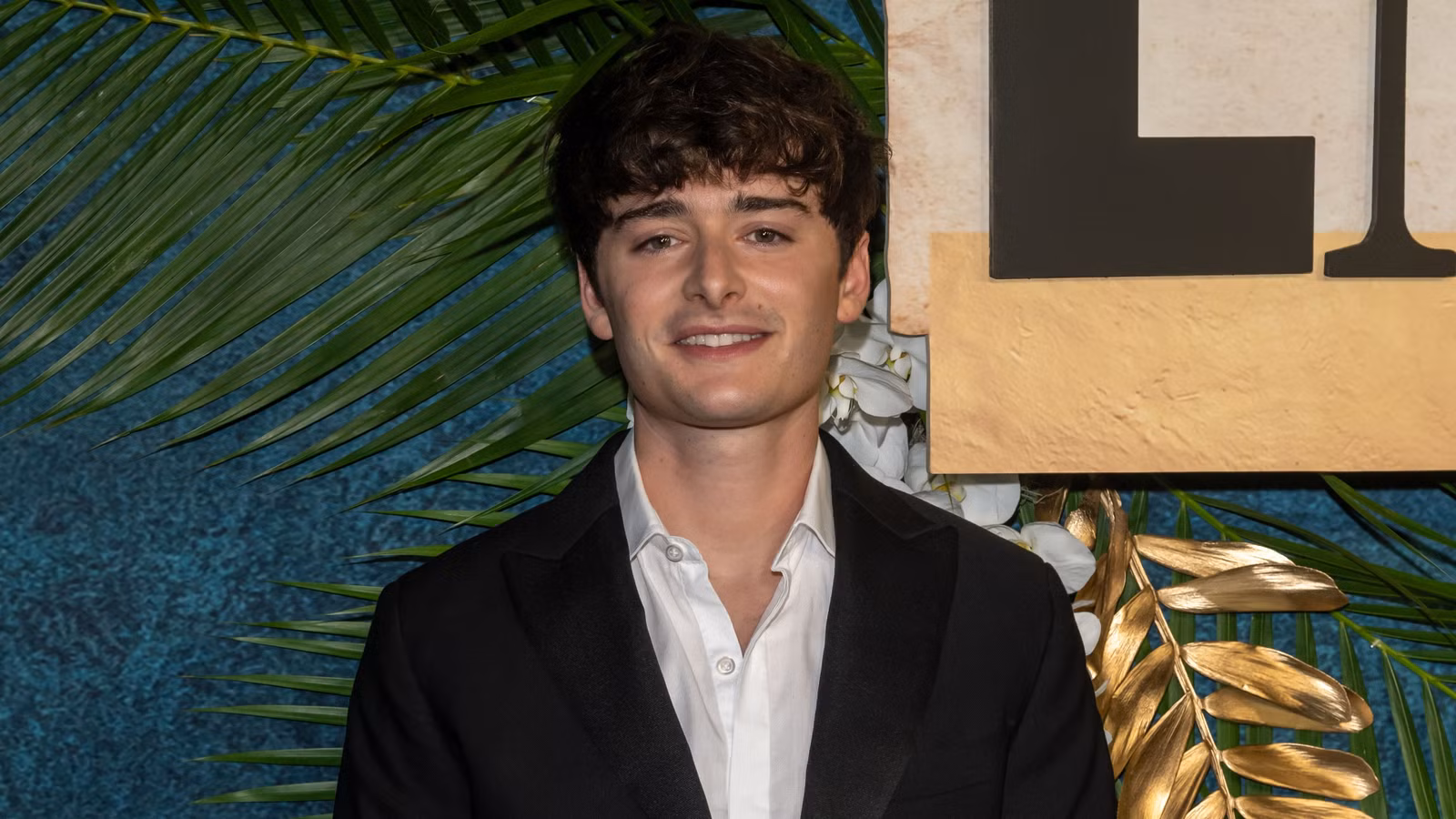 Noah Schnapp de Stranger Things establece su primer papel después del final divisivo del programa de Netflix