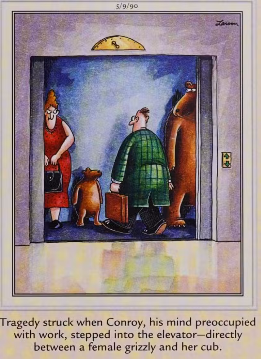 Far Side, 9 de mayo de 1990, un hombre se interpone entre una osa y su cachorro en un ascensor