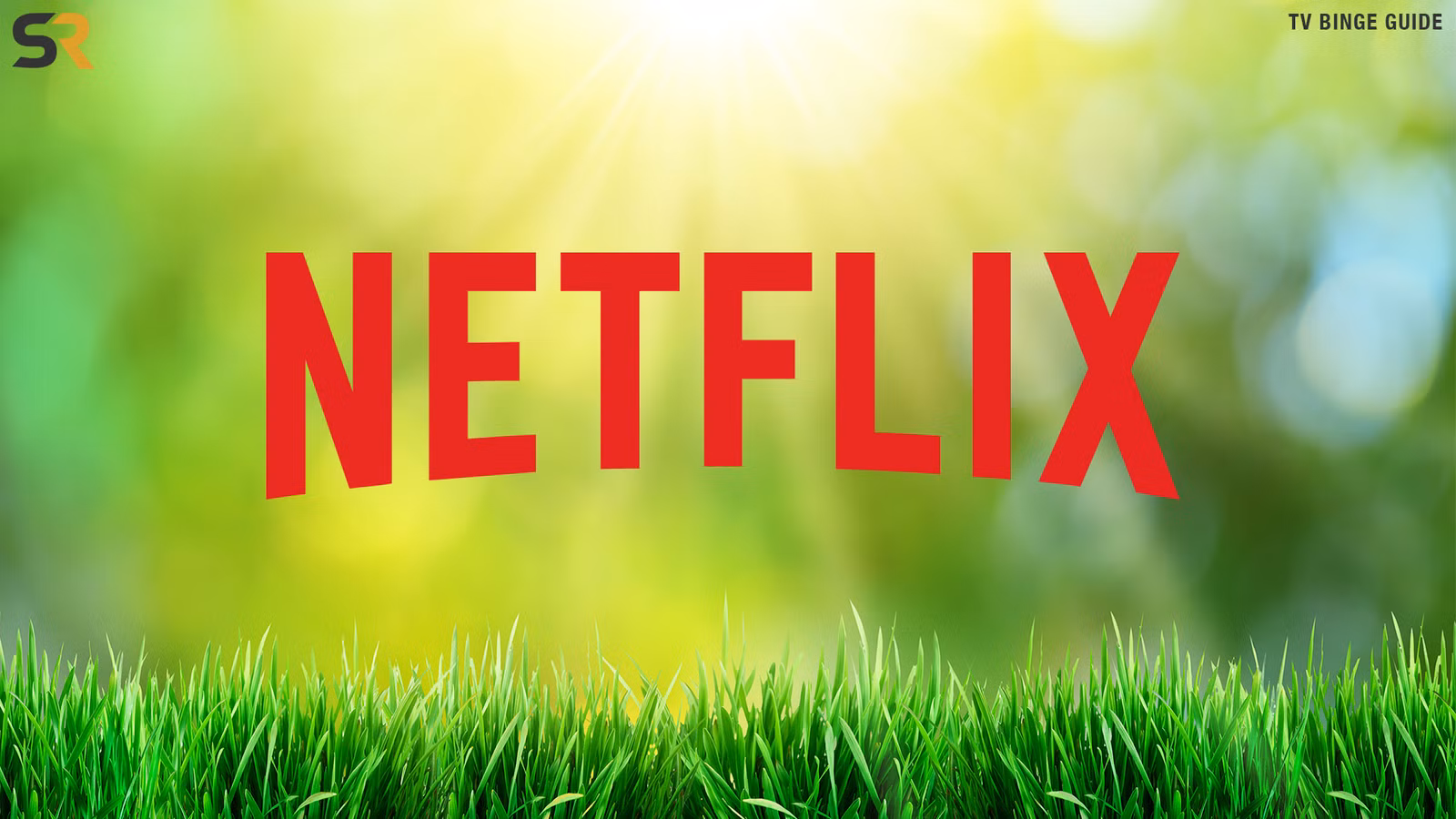 Las 5 mejores series de Netflix para ver en exceso esta semana (del 17 al 21 de agosto de 2026)