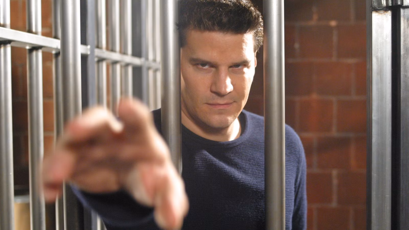 Los 5 mejores papeles televisivos de David Boreanaz, clasificados