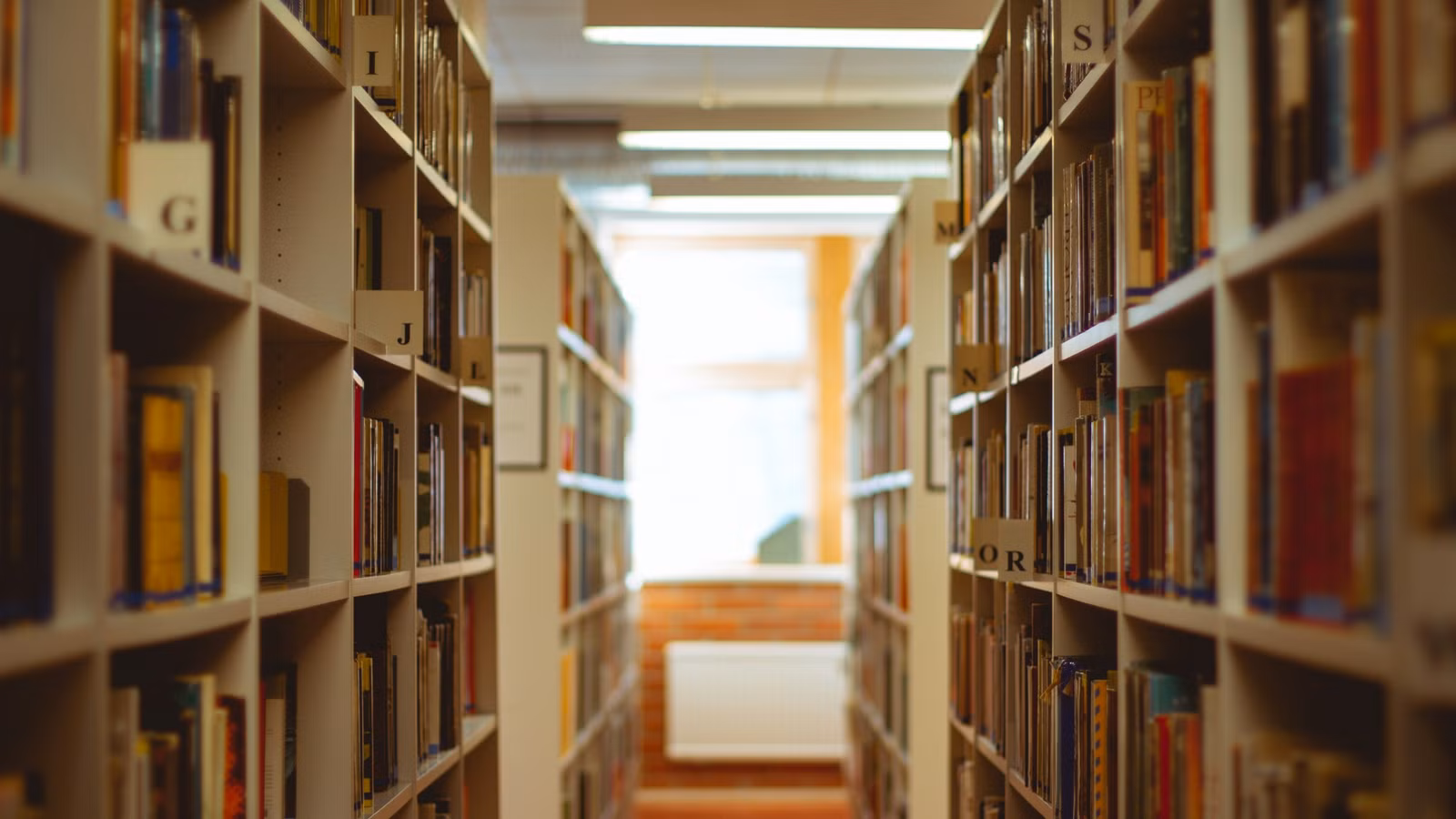Libros que fingiste leer en la escuela secundaria y que todo adulto realmente necesita leer