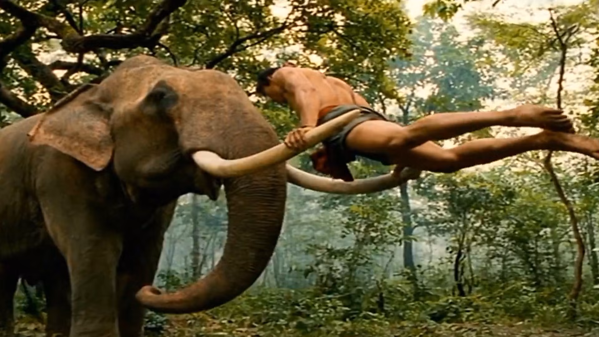 Tony Jaa balanceándose sobre los colmillos de un elefante en The Protector