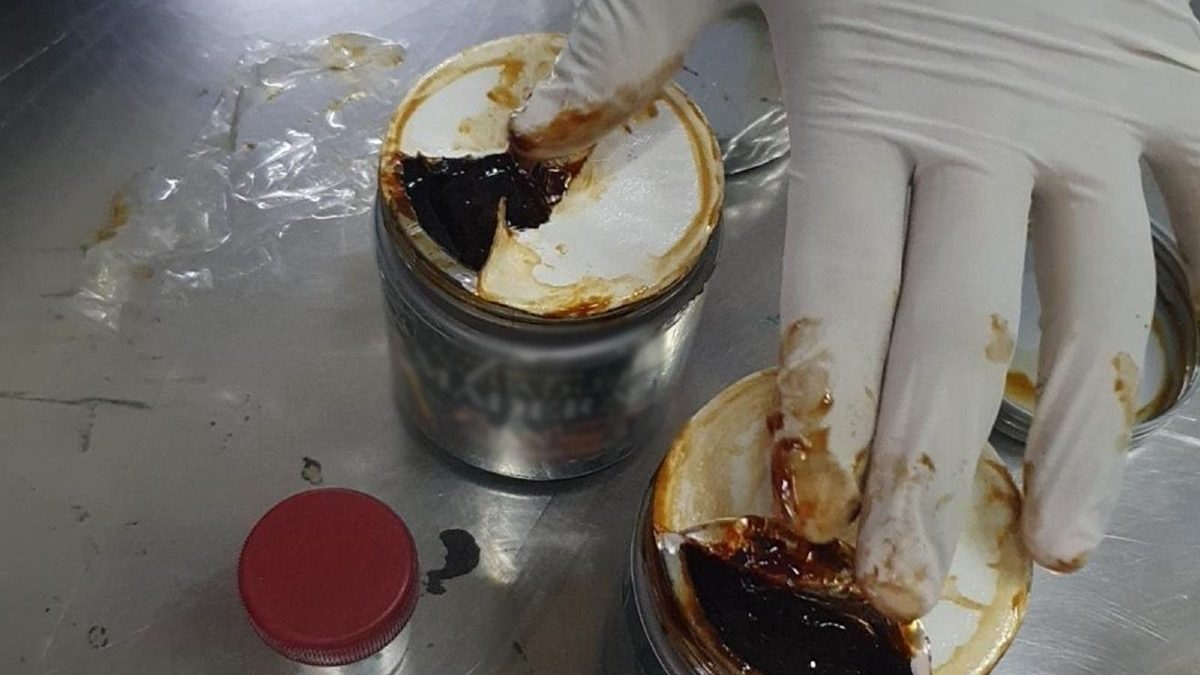 Aseguran ayahuasca en el AICM