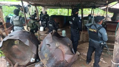 Desmantelan tres laboratorios clandestinos para producir metanfetamina en Guerrero
