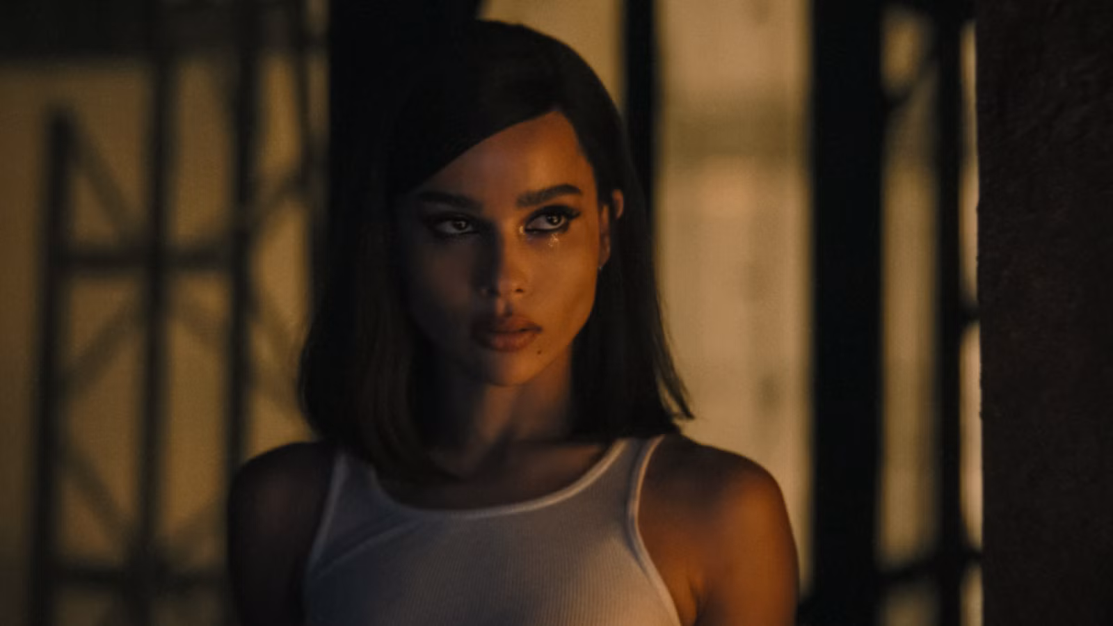Dos estrellas de Catwoman de diferentes épocas de DC se unen por primera vez en una nueva película