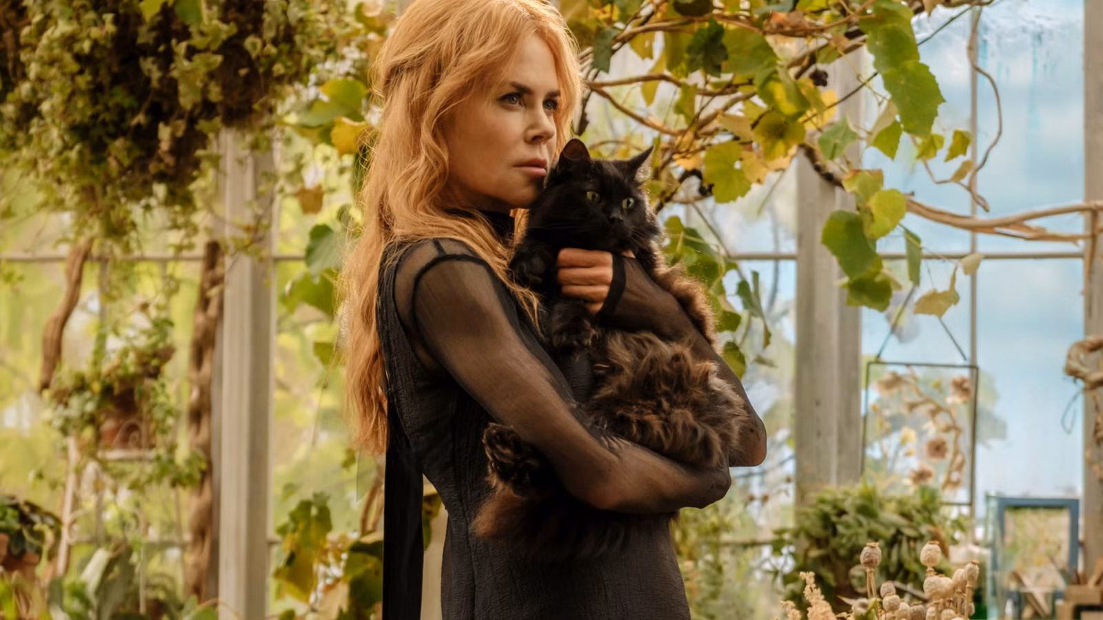 El debut en taquilla de Practical Magic 2 duplica la película OG, podría ser suficiente para romper la maldición de la franquicia