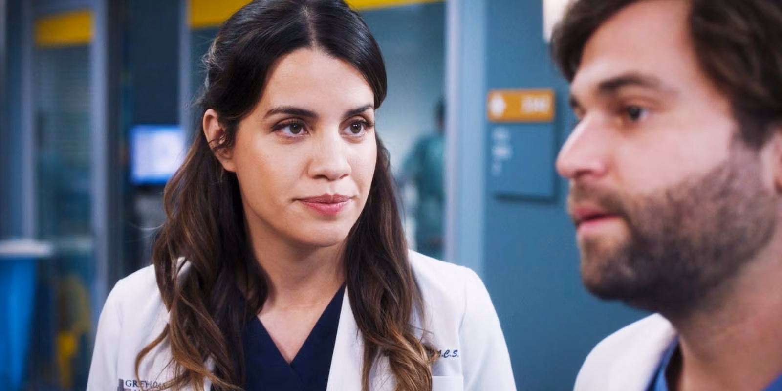 El favorito olvidado de los fanáticos de Grey's Anatomy es el personaje perfecto para lanzar el spin-off de Texas de ABC