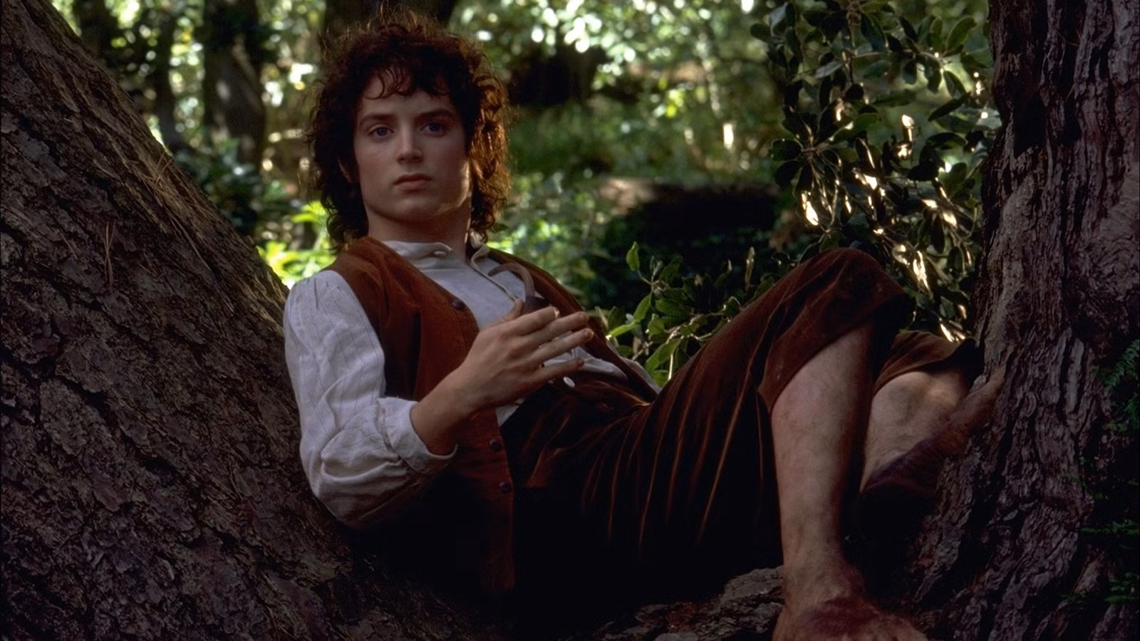 La atención de Frodo queda atrapada mientras fuma en pipa en un árbol en El Señor de los Anillos.