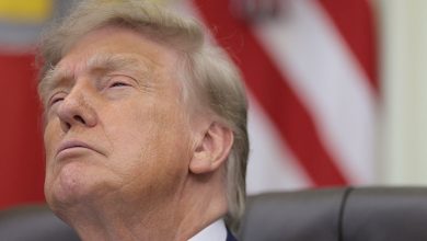 Jueza federal bloquea nuevo intento de Trump para limitar ciudadanía por nacimiento