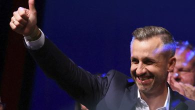 La ultraderecha de AfD arrasa en Sajonia-Anhalt, pero no logra mayoría para gobernar