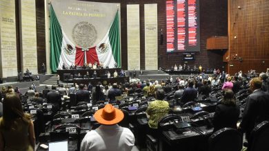 Organizaciones exigen Parlamento Abierto para reformar la ley ambiental