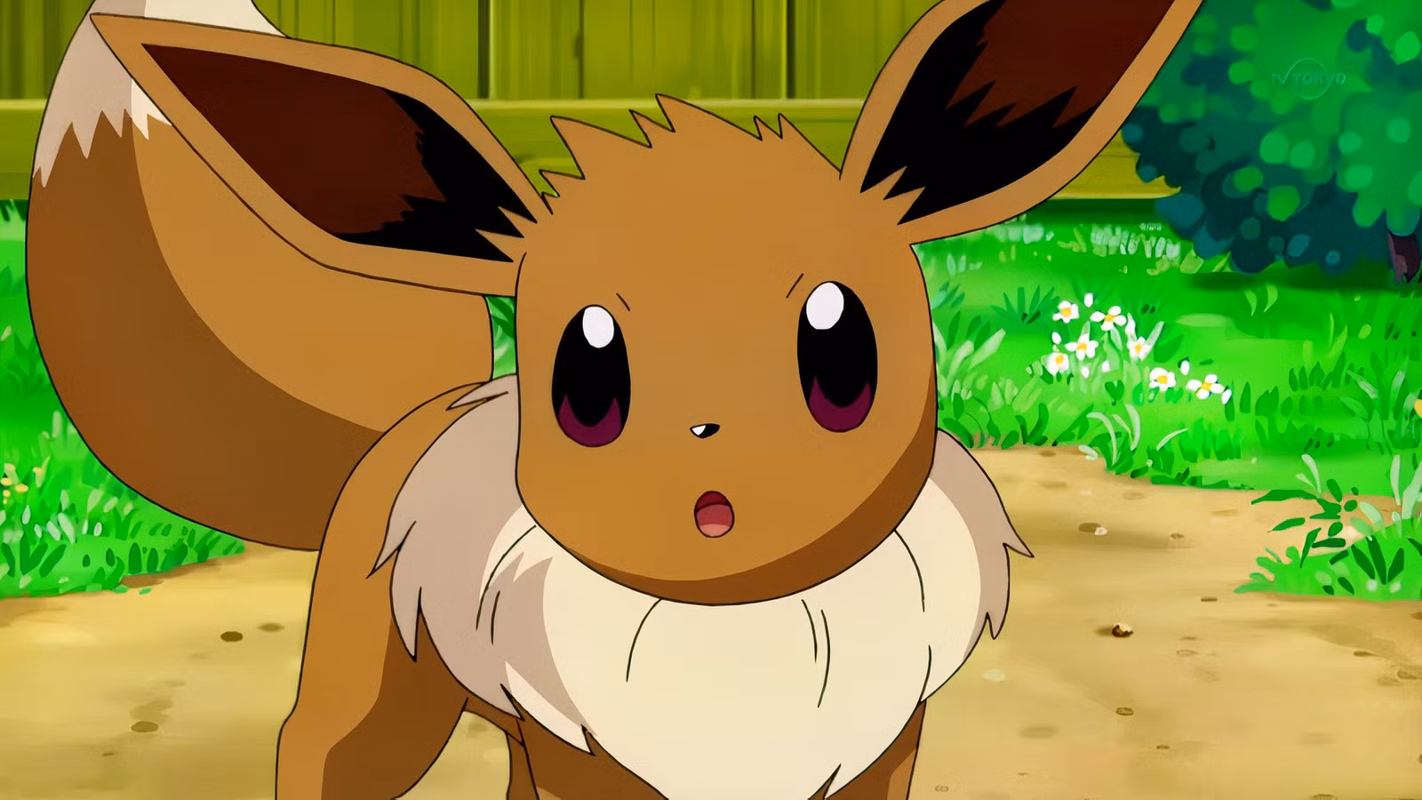 Pokémon lanza un nuevo especial Eeveelution del 30 aniversario para coleccionistas