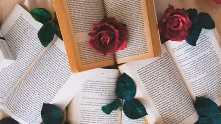 Imagen de portada del artículo del libro de romance fantástico (2)