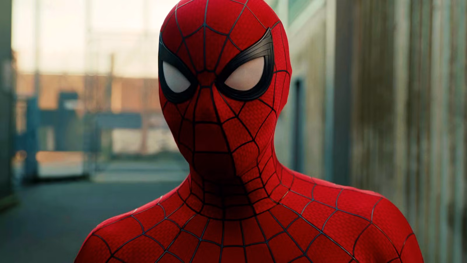 Spider-Man 5 Gets First Official Update From Tom Holland After Historical Box Office Opening