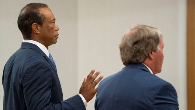 Tiger Woods se declara culpable de conducción descuidada por accidente de coche en EE.UU.