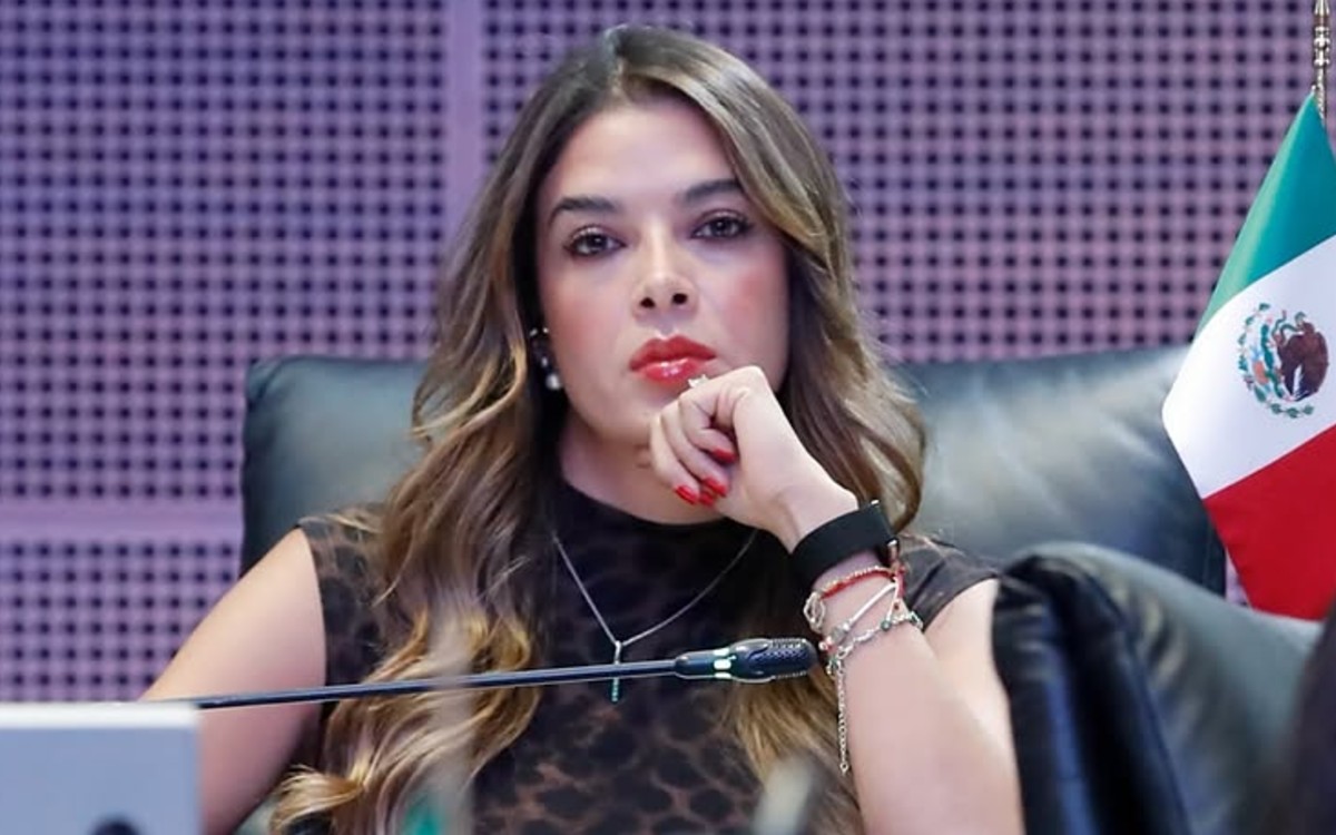 ‘PVEM no prohíbe que un familiar suceda a uno que ya está en el cargo’: González, en antesala de competir por SLP