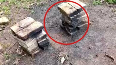 'Movías la maleza y salía un huesito', dice buscadora sobre sitio de exterminio en Nayarit