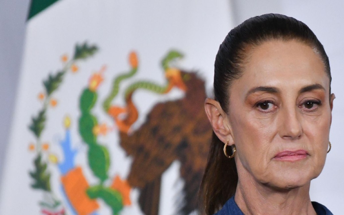 'Un presidente solo puede tener una bandera': Sheinbaum