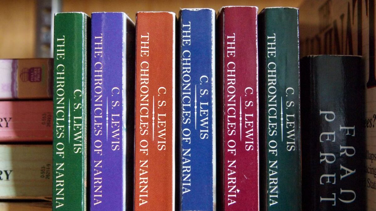 15 libros de Portal Fantasy que vale la pena leer