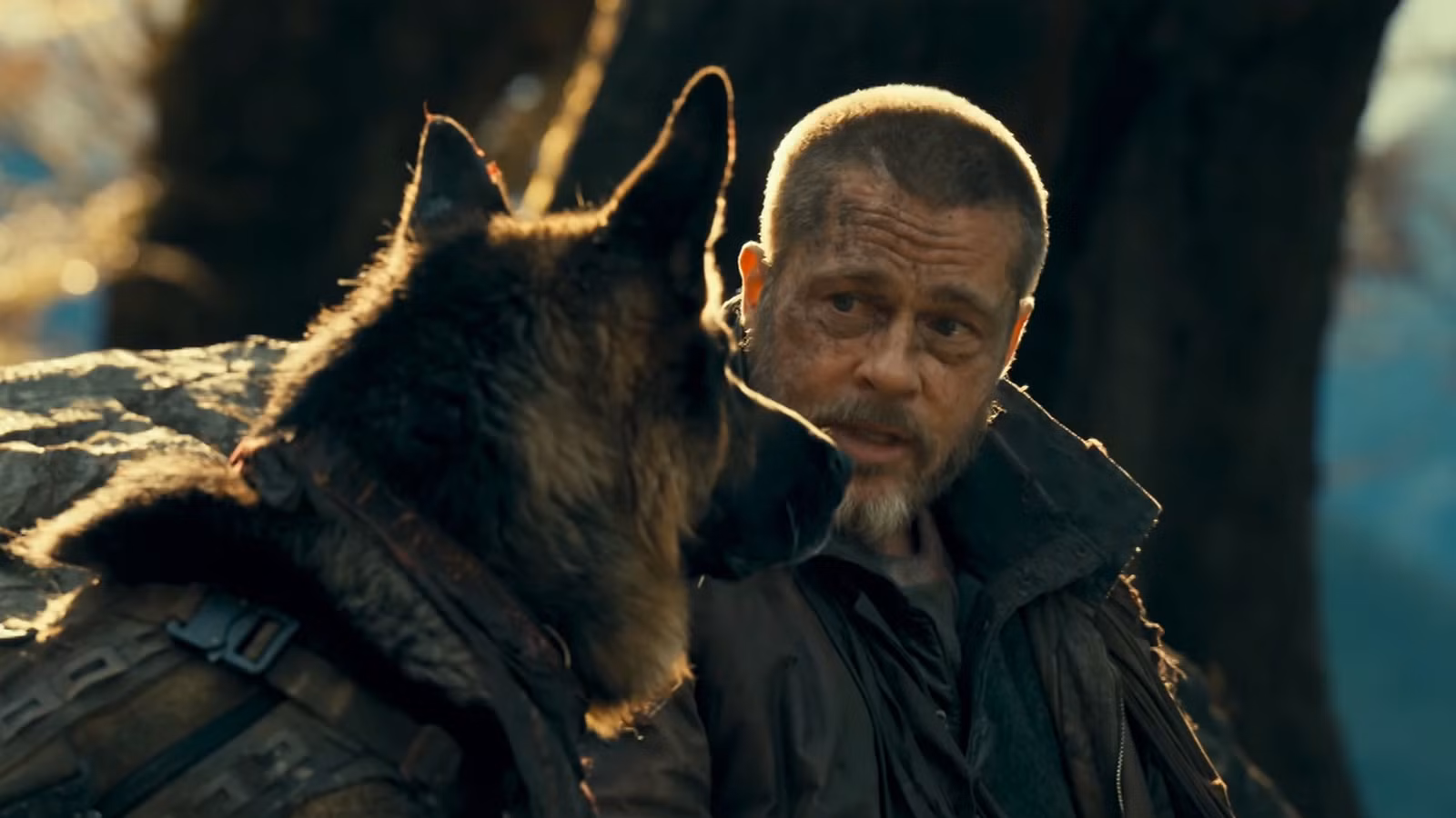6 grandes películas de supervivencia para ver si te gusta El corazón de la bestia