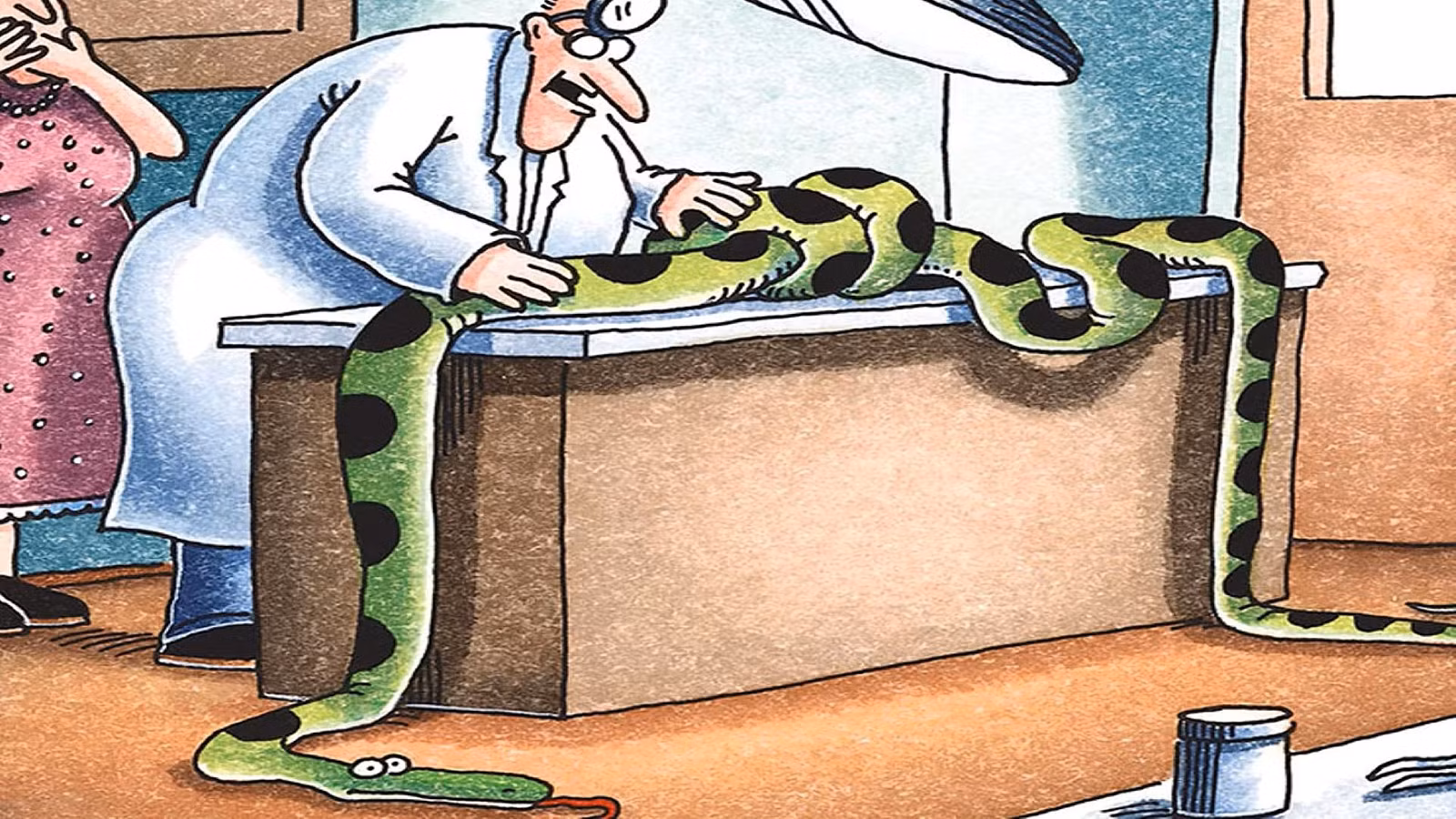 10 mejores cómics de Far Side sobre serpientes