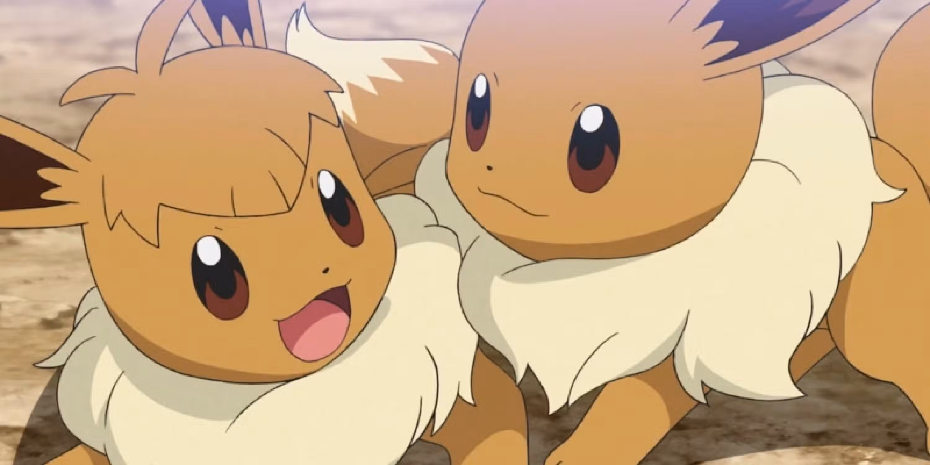 Dos Eevee de Pokémon jugando