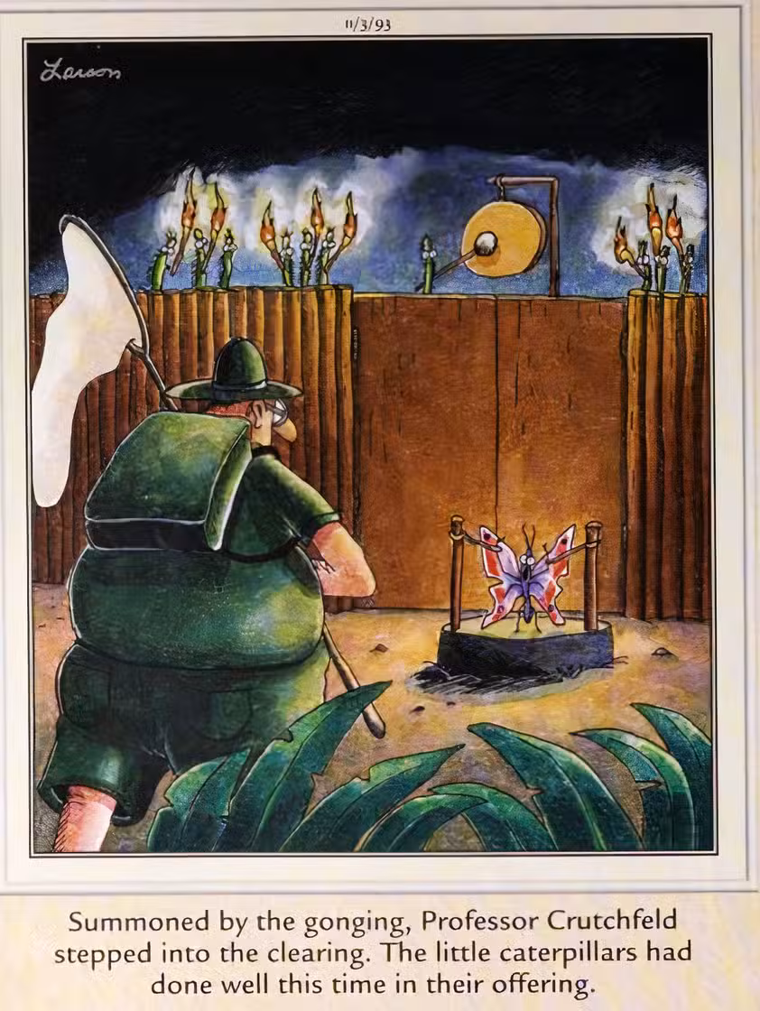 Far Side, 3 de noviembre de 1993, las orugas sacrifican una mariposa a un cazador de mariposas.