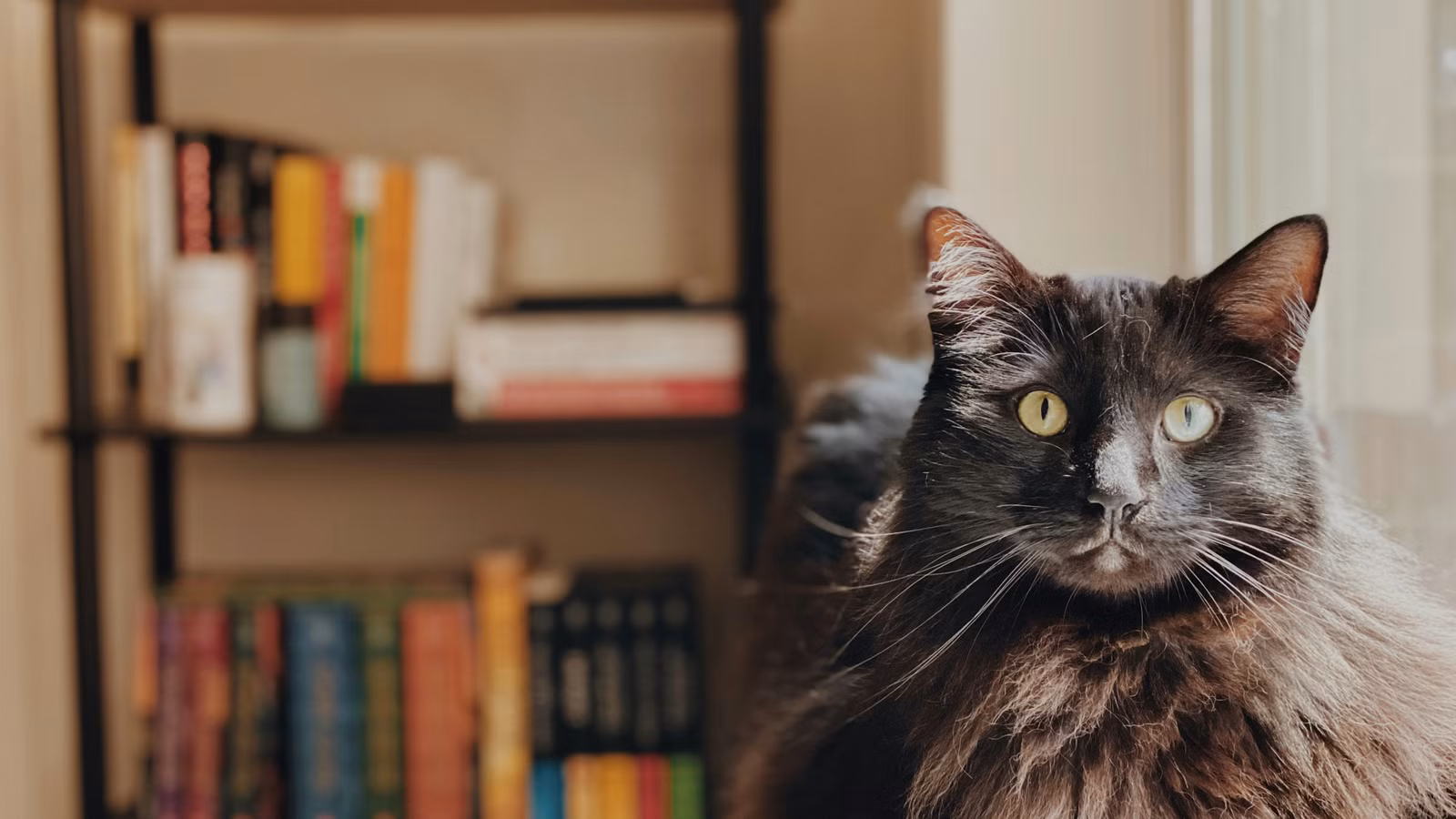 10 novelas de fantasía independientes para disfrutar en un fin de semana
