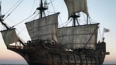 8 increíbles libros de fantasía pirata