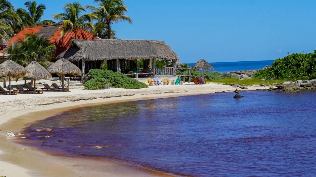 Aeroméxico y Volaris suspenden vuelos a Tulum